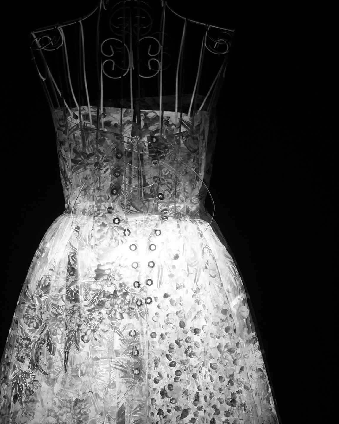 柏原晋平「クリアドレス - Clear Dress」