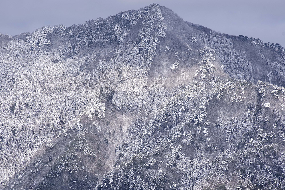 Naoyuki Takagi exhibition「徳島」